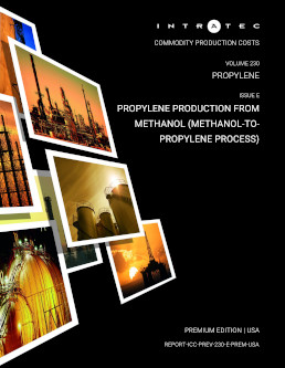 Look Inside this Report Production Cost Report