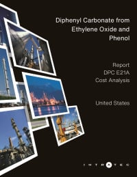 Look Inside this Report Production Cost Report