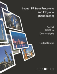 Look Inside this Report Production Cost Report