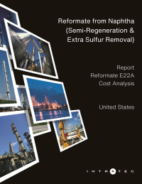 Look Inside this Report Production Cost Report