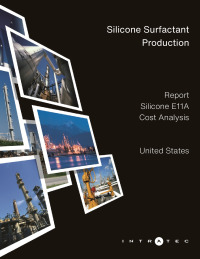 Look Inside this Report Production Cost Report