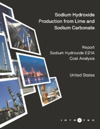 Look Inside this Report Production Cost Report