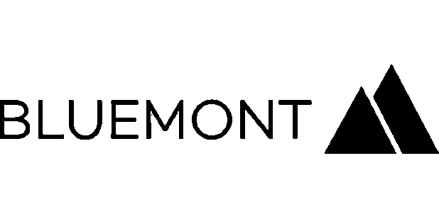 bluemont-consulting-gmbh-logo